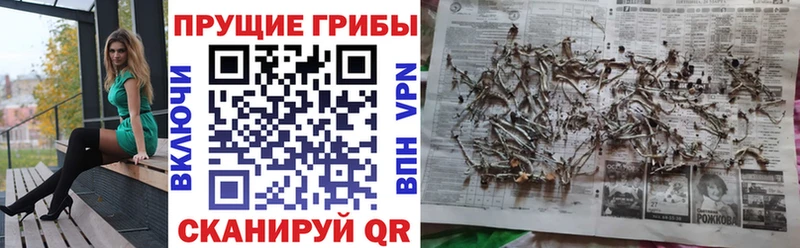 Псилоцибиновые грибы ЛСД  МЕГА ONION  Сердобск 